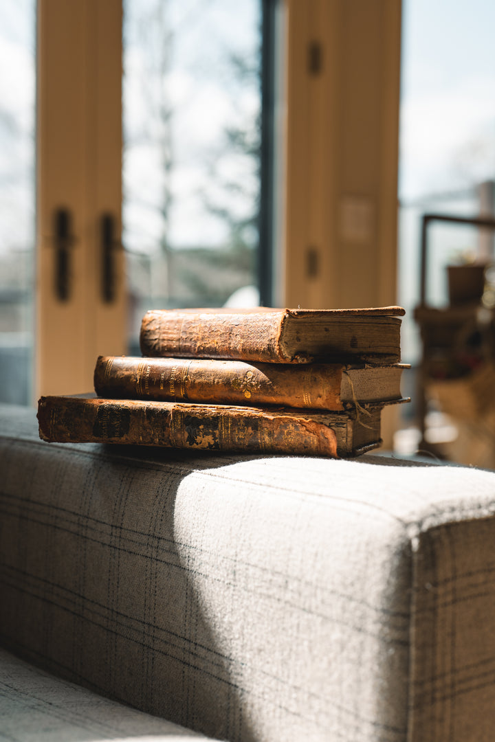 French Antique book set
