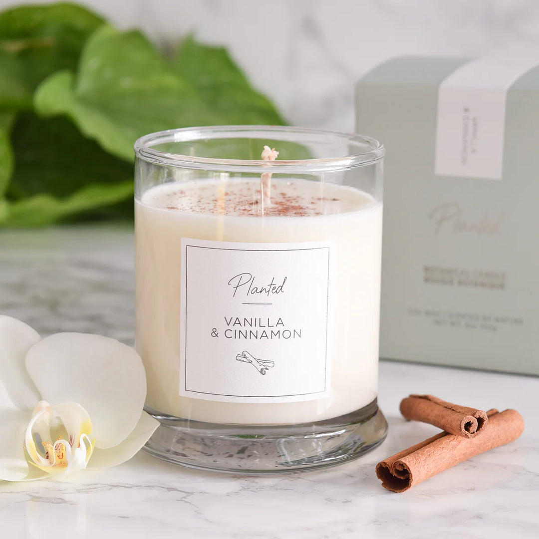 Vanilla & cinnamon candle 9oz