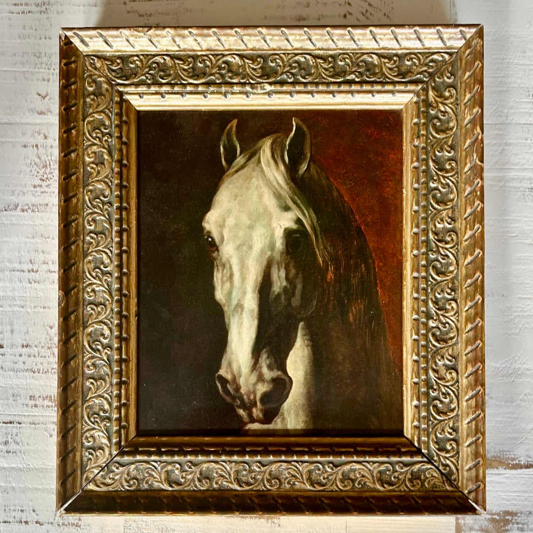 Tête Noble - vintage reproduction
