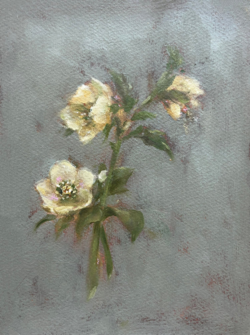Lenten Roses Framed Fine Art Print