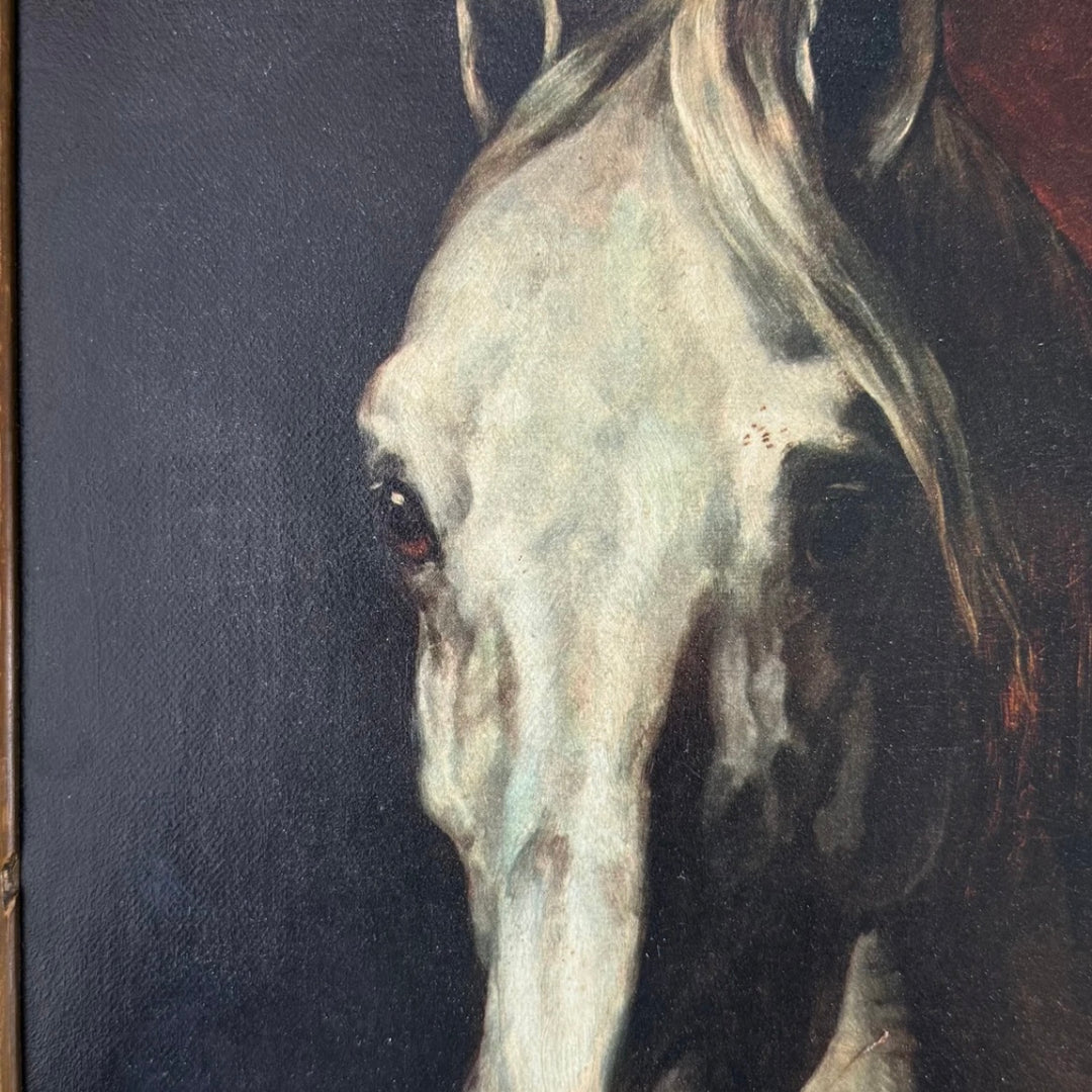 Tête Noble - vintage reproduction