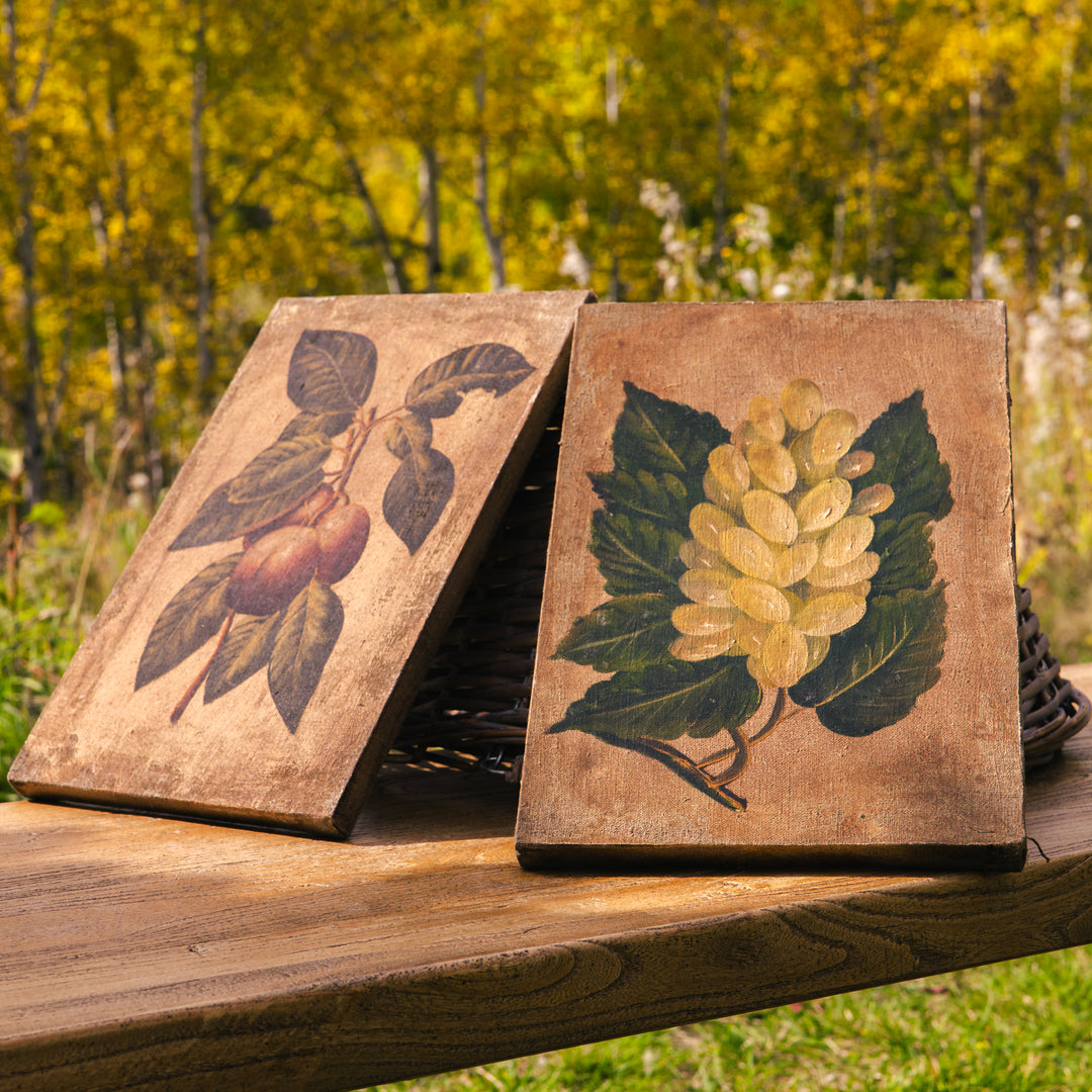 Vintage hand painted botanical paintings