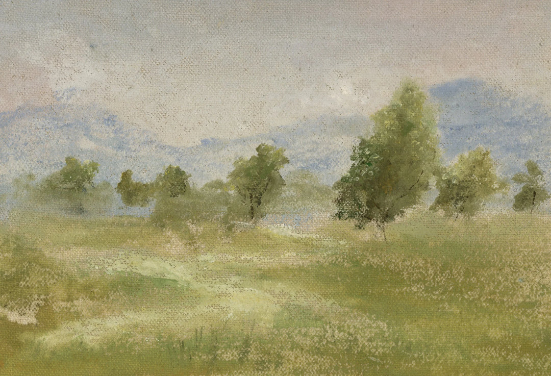 Through the pasture (custom frame) 11x14”