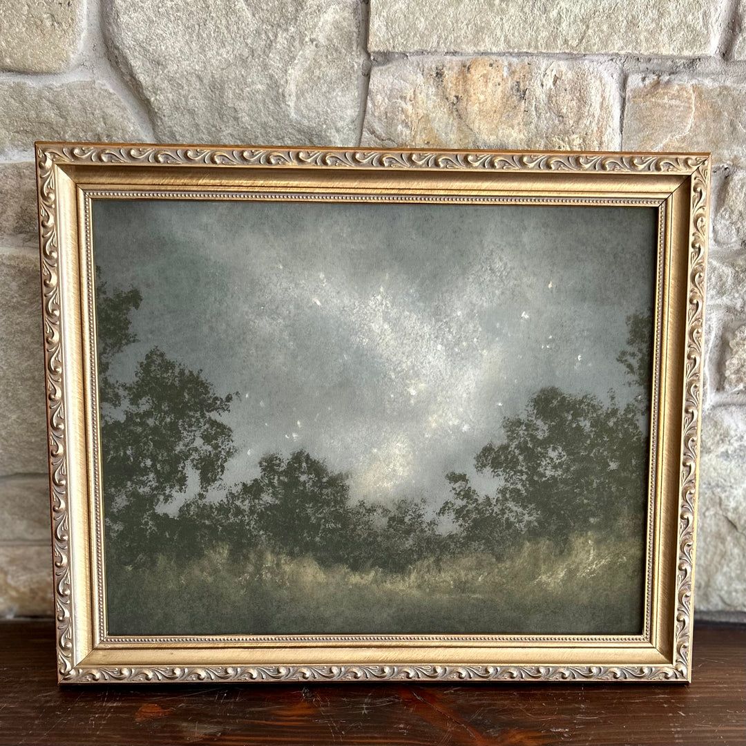 Seeds Of Light-Framed Fine Art Print