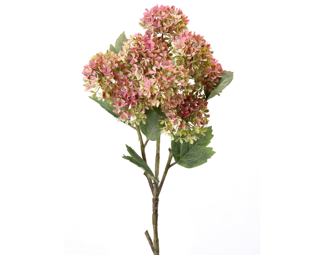 33" SNOWBALL HYDRANGEA SPRAY -PINK/GREEN