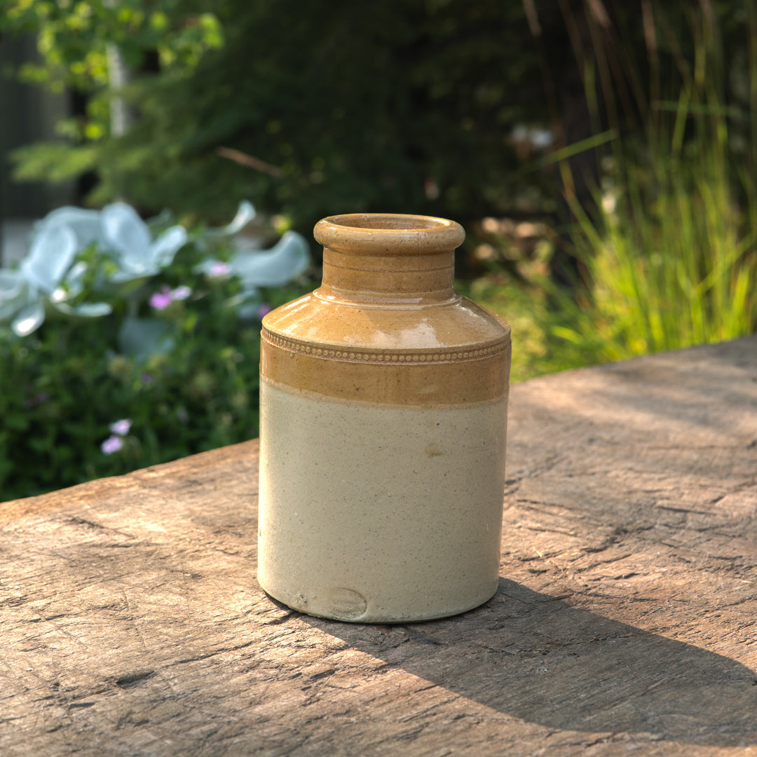 Antique ginger beer bottle