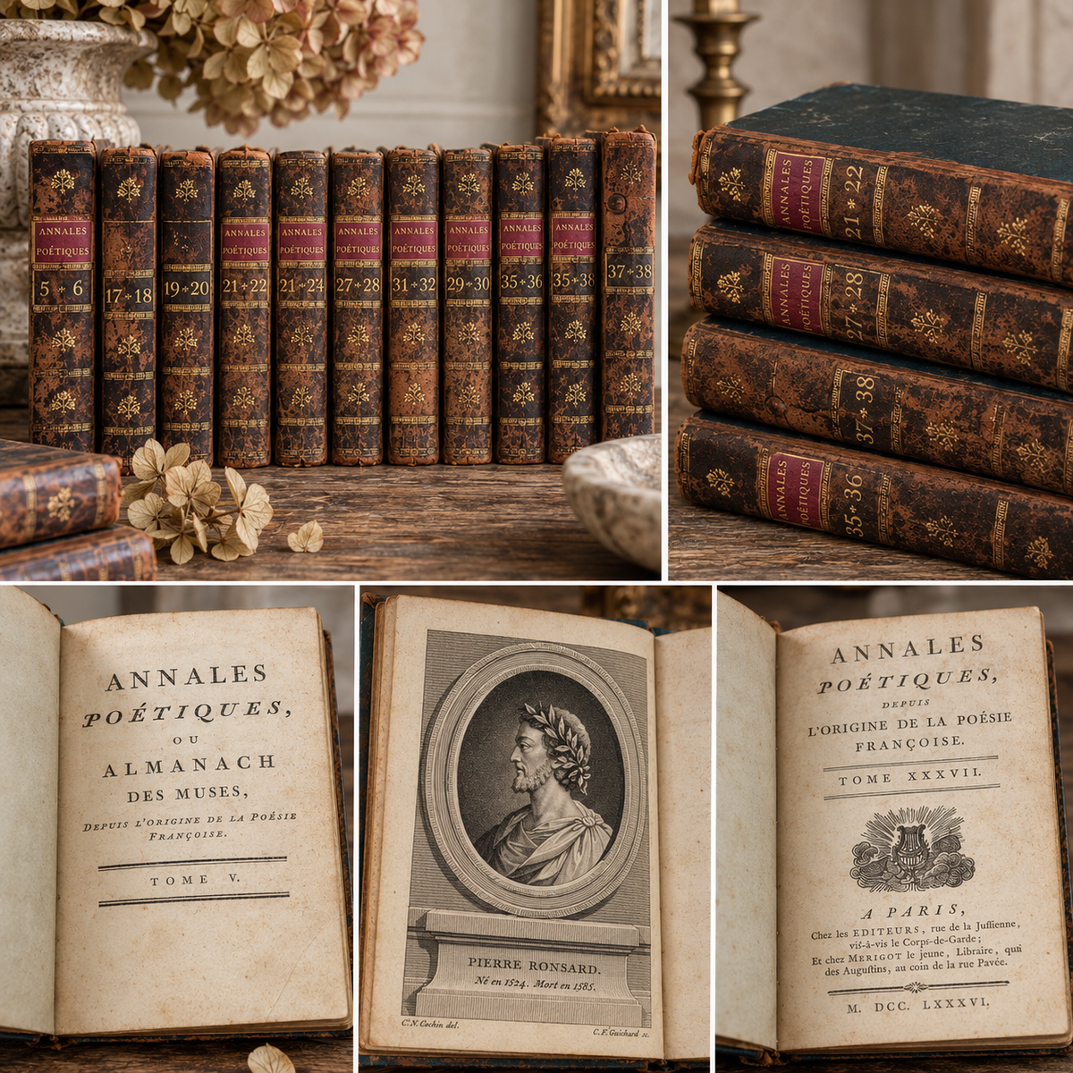 Set of 10 Antique French Leather-Bound Poetry Books | 18th Century