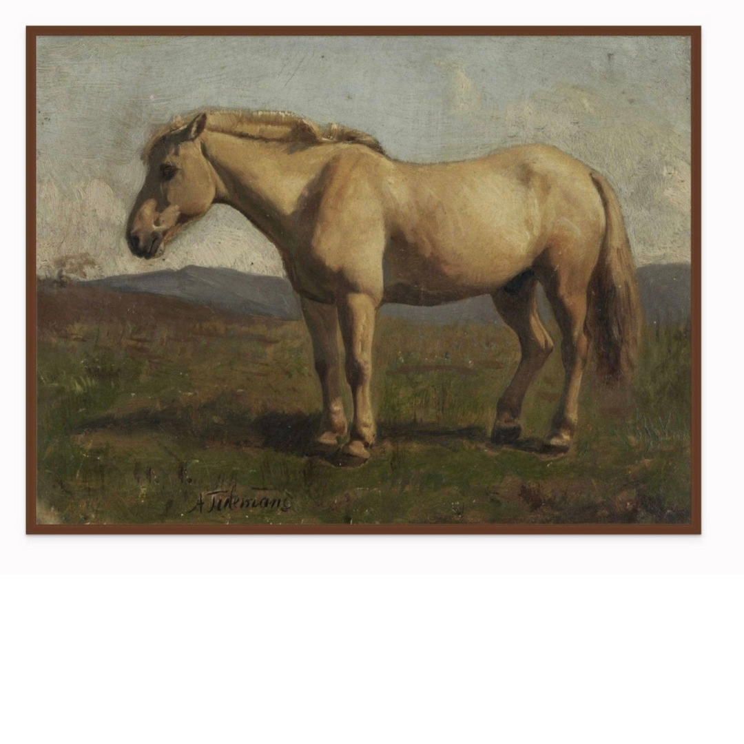 A Dun Horse stretched canvas print in floating frame