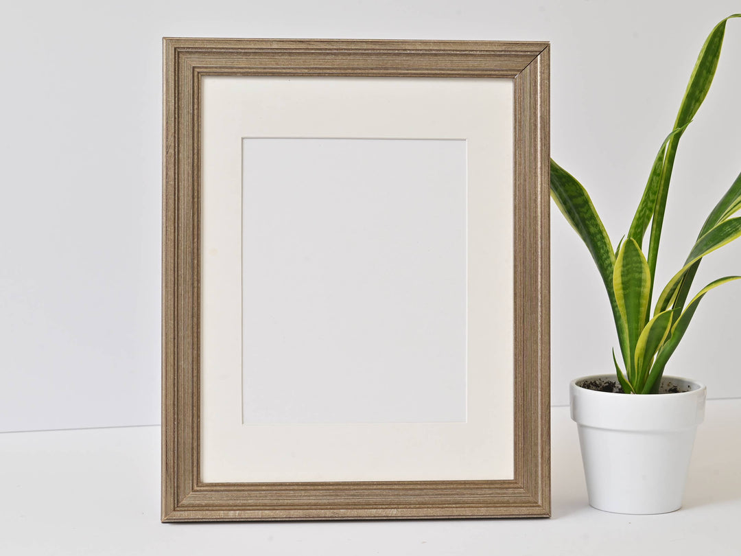 Antique Silver Finish With Dark Highlights - 4720SI