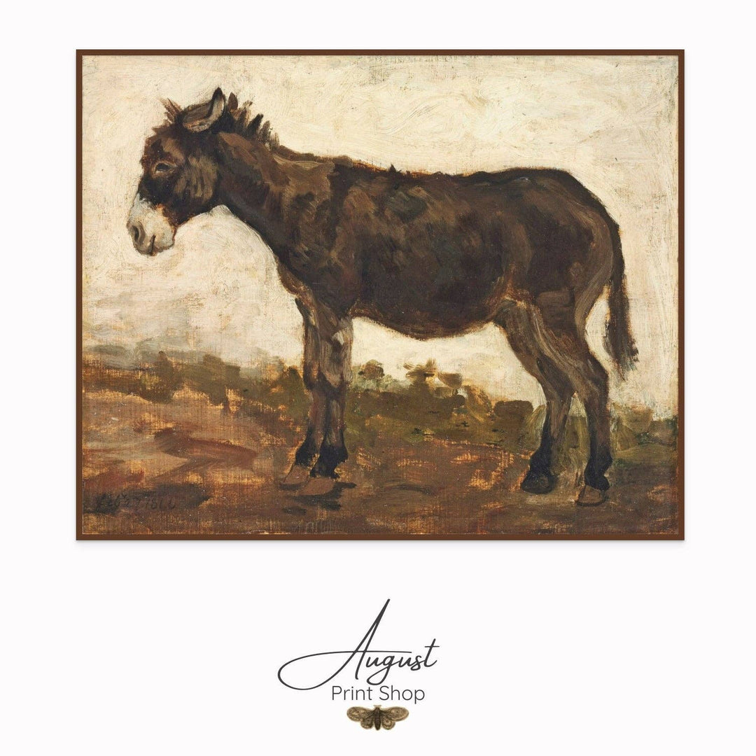 A Study of a Donkey: Grey / M framed 20 x 30