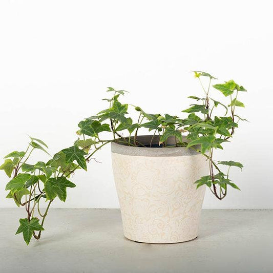 Ceramic Flower Pot, Small