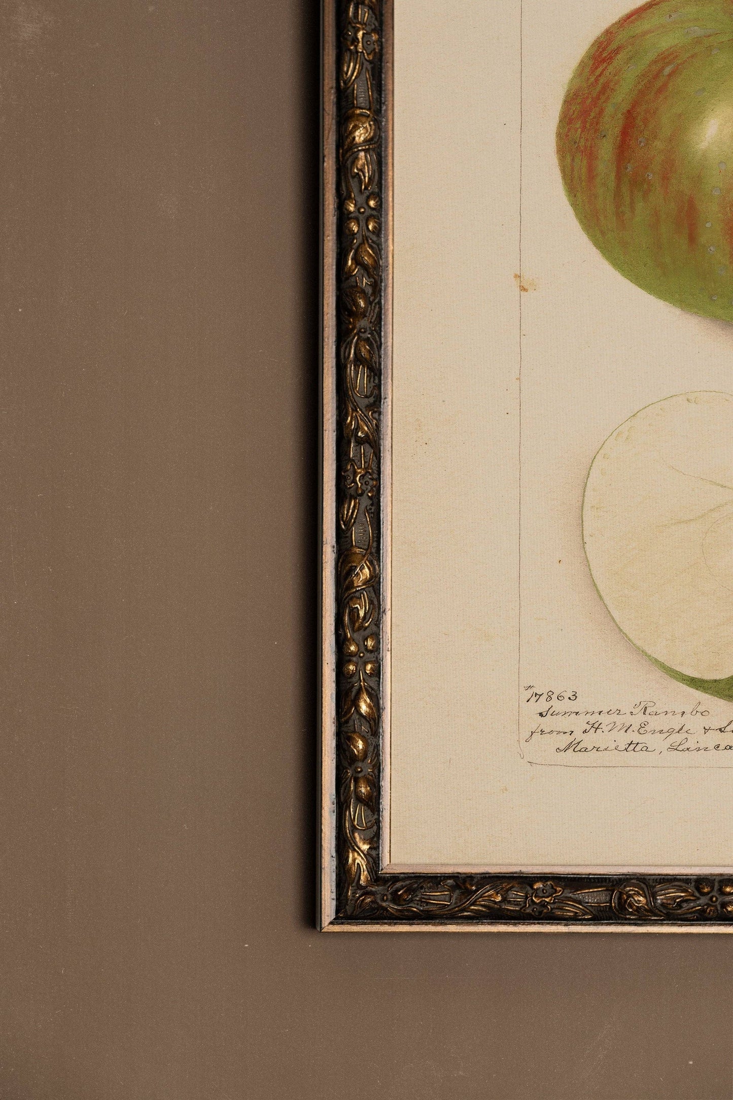 Vintage Framed Rigid Canvas
Bronze, A Taste of the Past