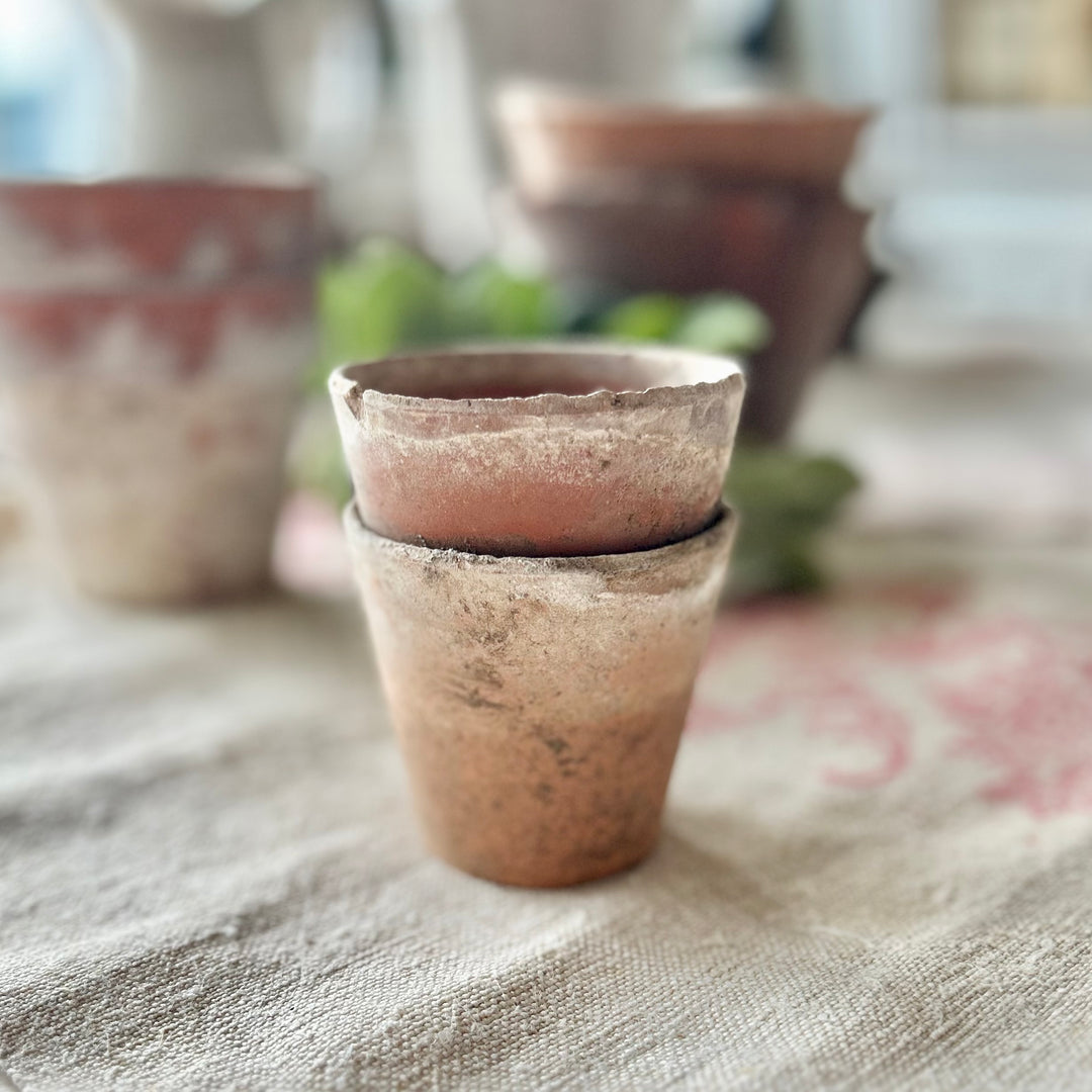 Antique French Terracotta Garden Pots