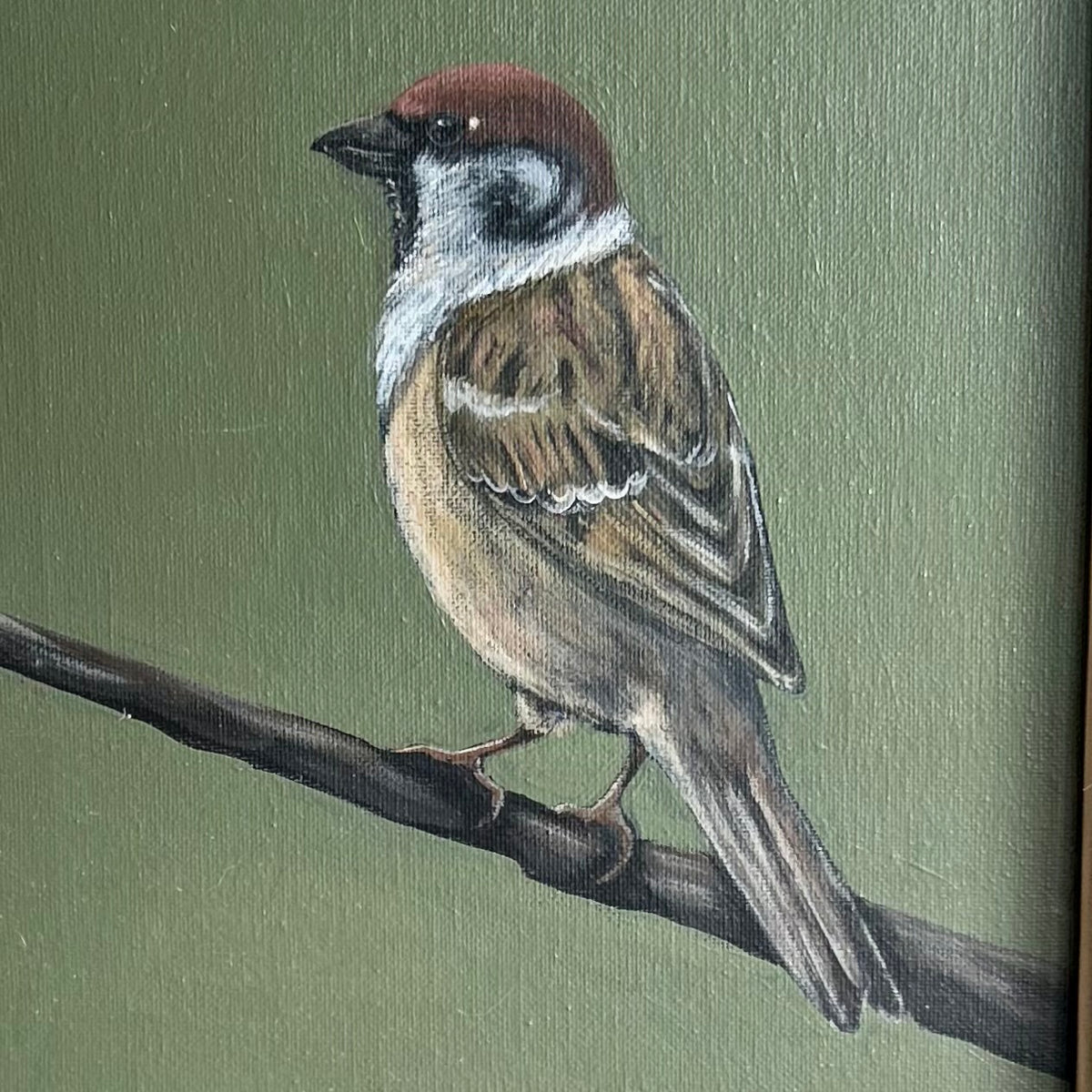Quiet Observer - framed original by Sarah Fehr
