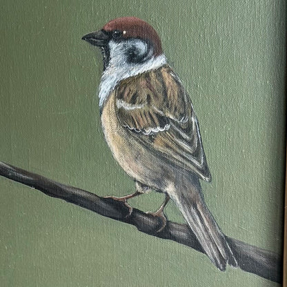 Quiet Observer - framed original by Sarah Fehr