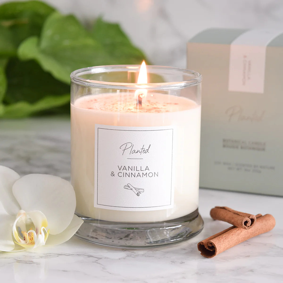 Vanilla & cinnamon candle 9oz