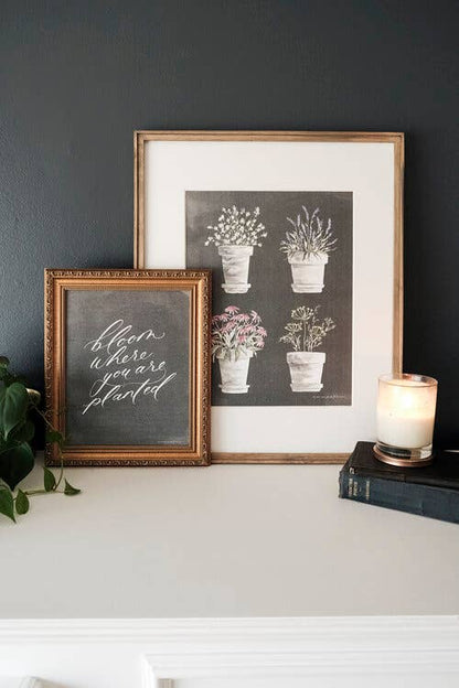 Potted Herb Chart