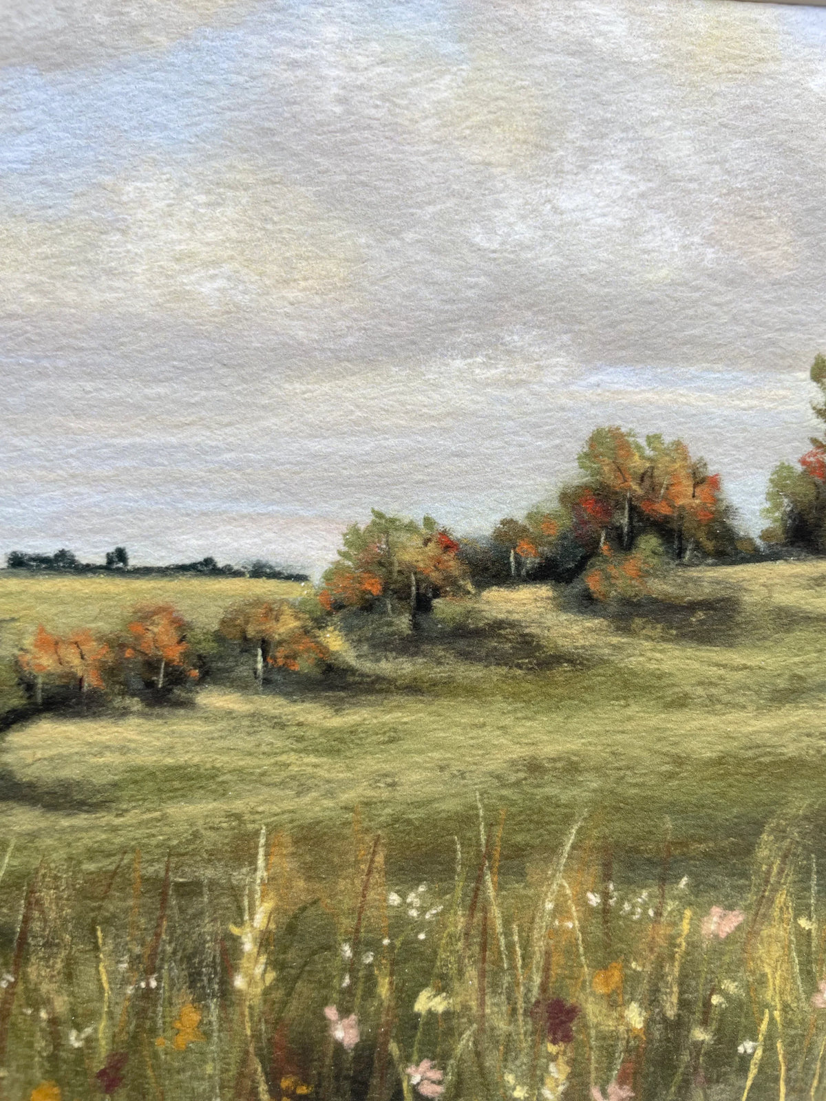 Changing Leaves (framed)