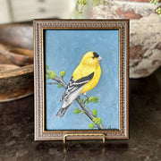 Golden song - framed original by Sarah Fehr