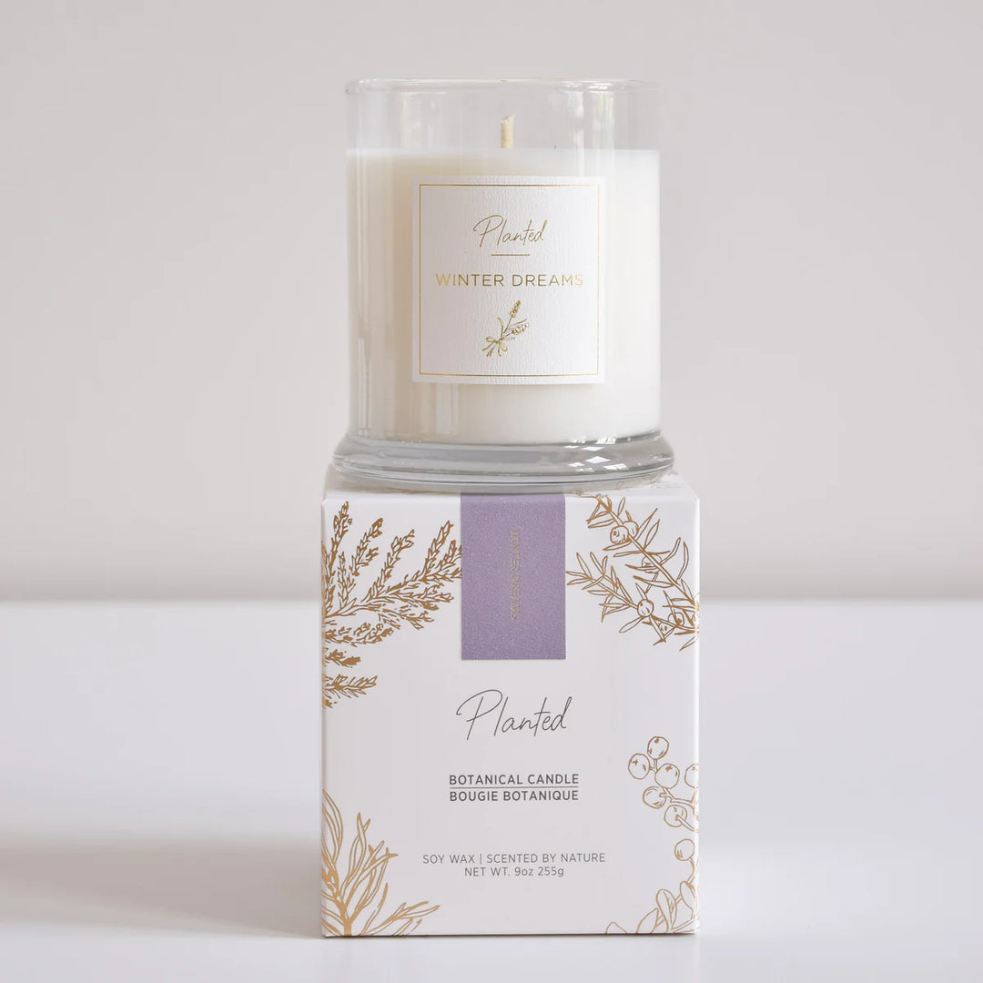 Winter Dreams (9oz)