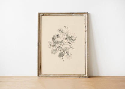 Floral Antique Vintage Art Print (framed)