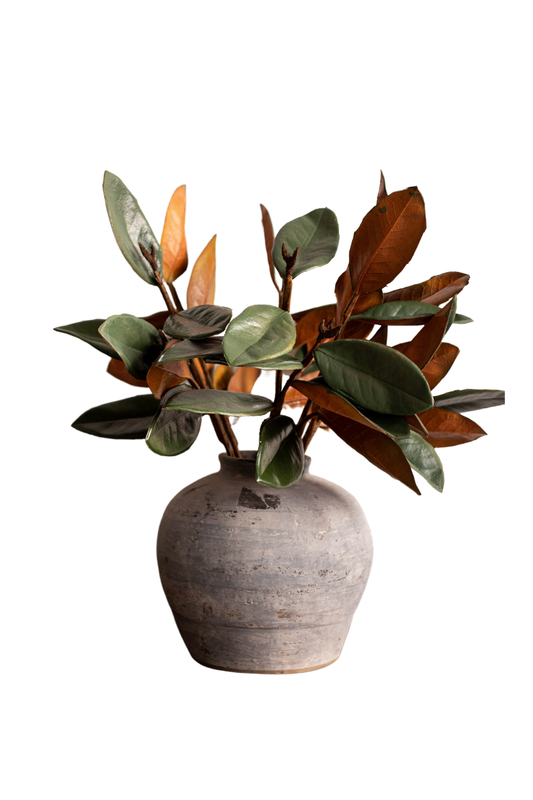 Magnolia Faux Leaves