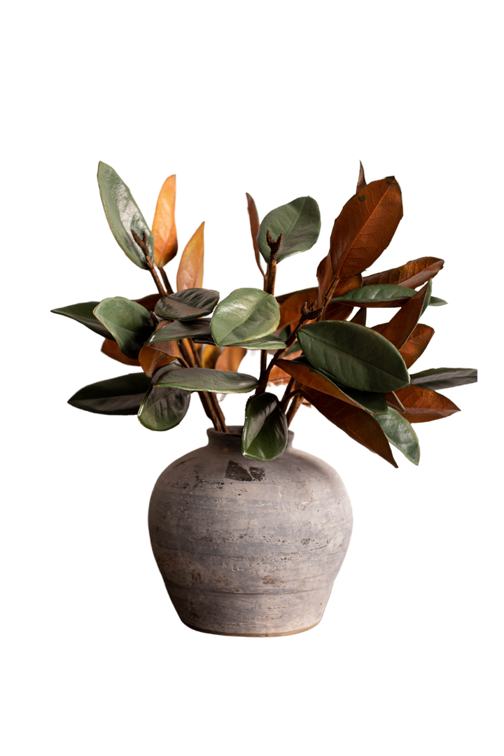 Magnolia Faux Leaves
