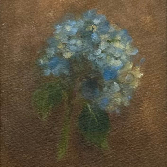 Blue Hydrangea Bloom- original oil on paper by Alicia Cook