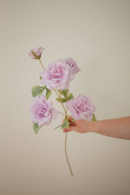 Rose Branch