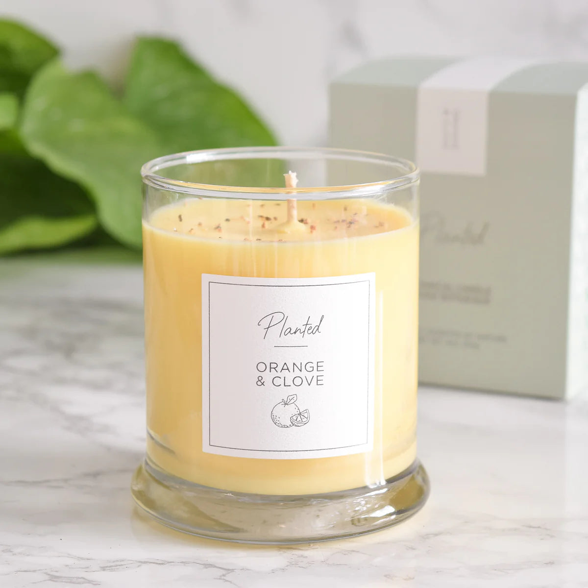 Orange & clove candle 9oz
