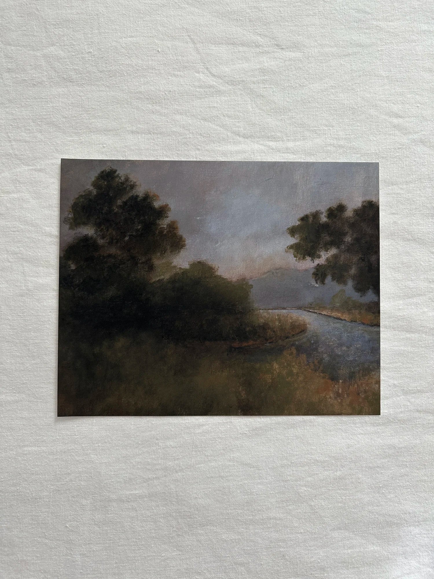 Morning Glory Framed Fine Art Print