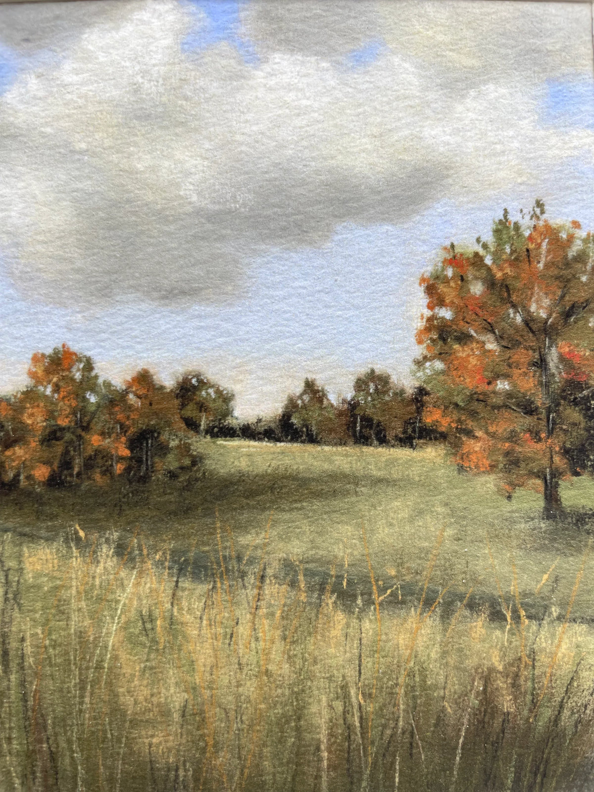 Autumn Fields (framed)