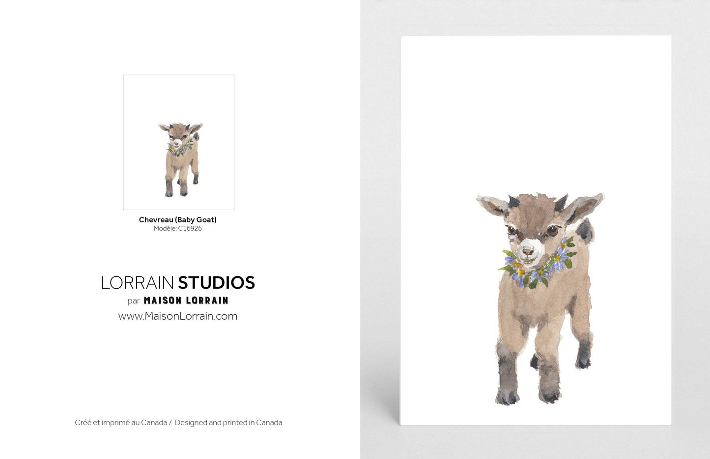 NEW Carte de souhaits - Chevreau/ Greeting Card - Baby Goat