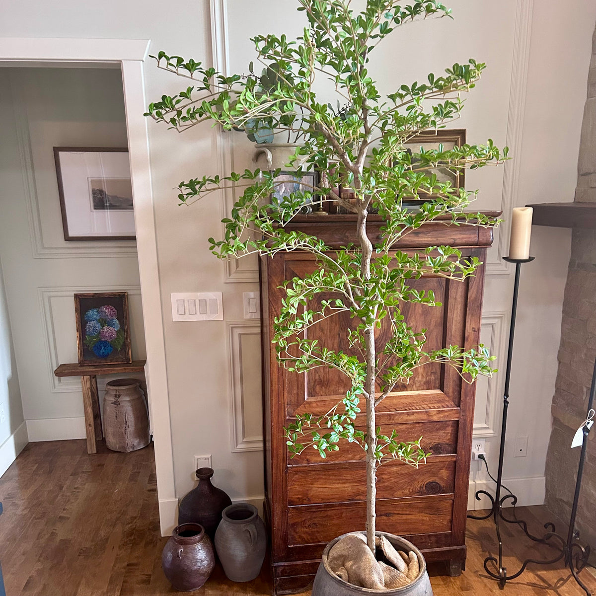 6' Faux Shady Lady Tree