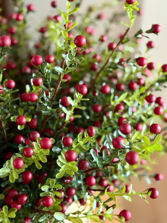 Cranberry Stem