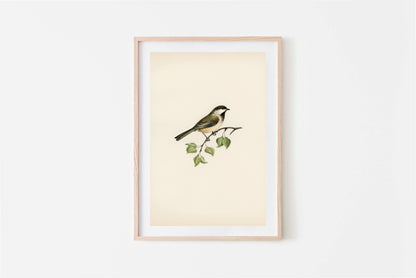 Vintage Art Print (framed)