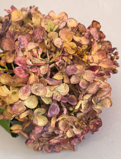 Hydrangea Spray Silk – 23” Amber