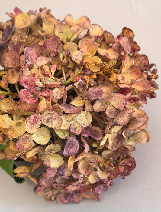 Hydrangea Spray Silk | Amber