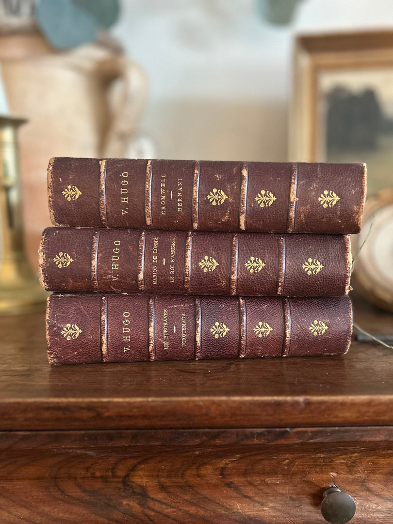 Antique French Leather-Bound Victor Hugo Set (c. 1880s)