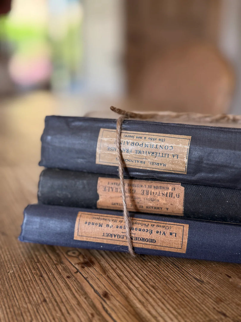 Set of Three 1930s French Academic Books
