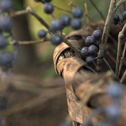 Portuguese woven basket
