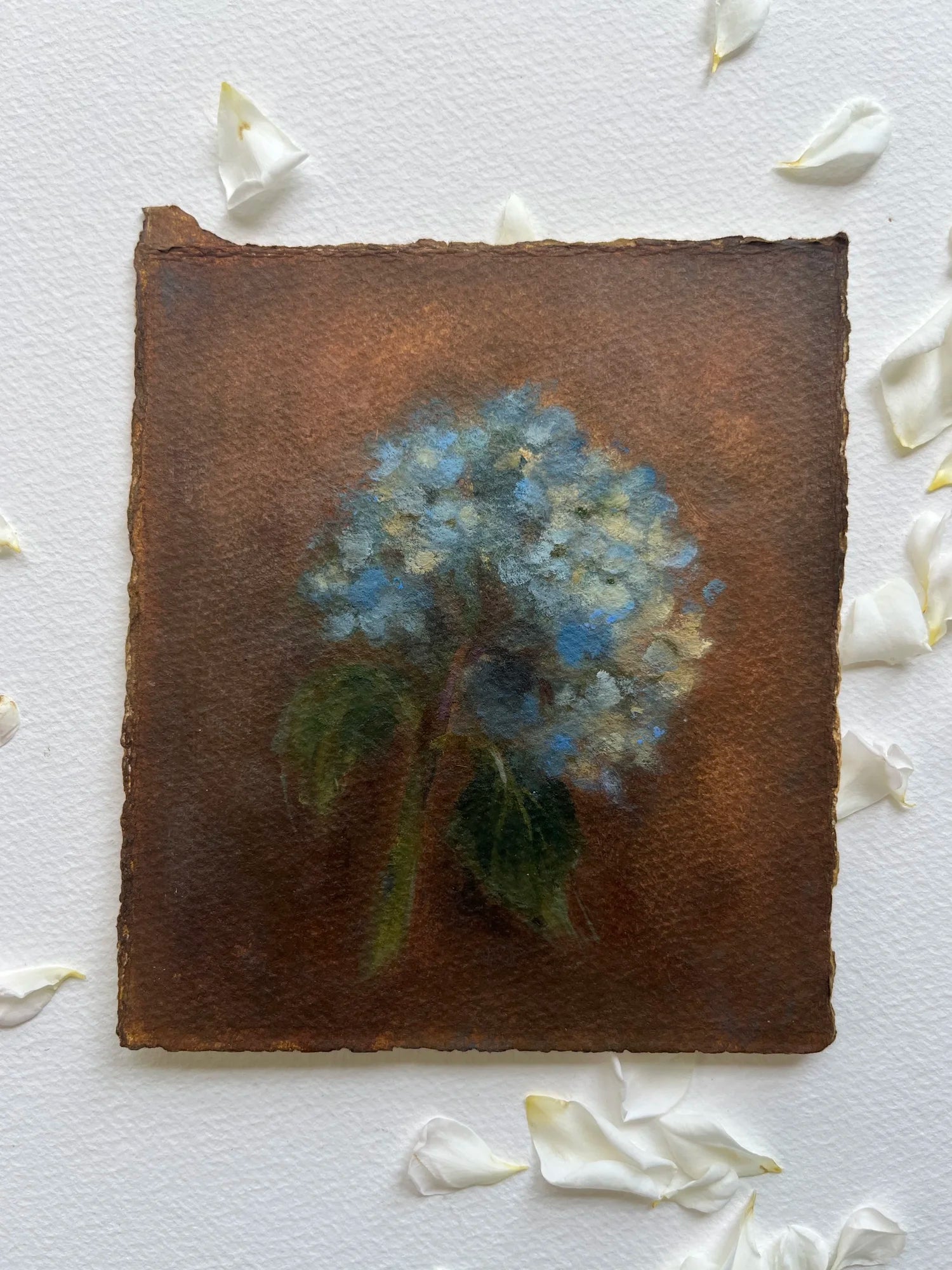 Blue Hydrangea Bloom (framed) original art by Alicia Cook