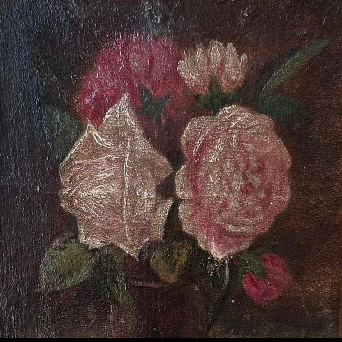 Antique rose study oil on paper