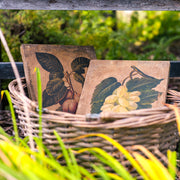 Vintage hand painted botanical paintings