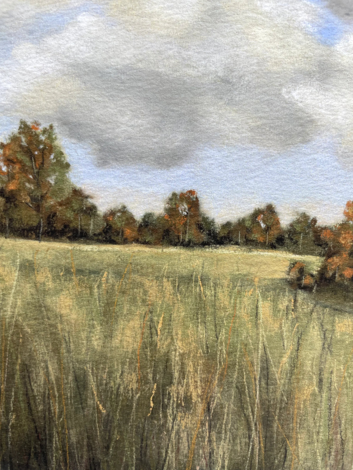 Autumn Fields (framed)