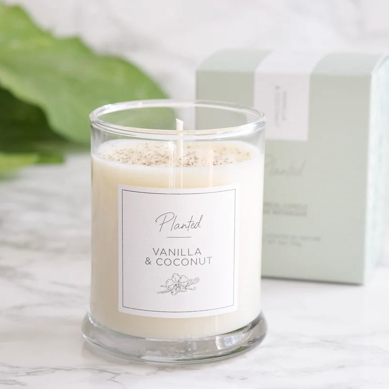 Warm vanilla & coconut
