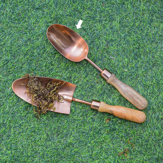 Dana trowel