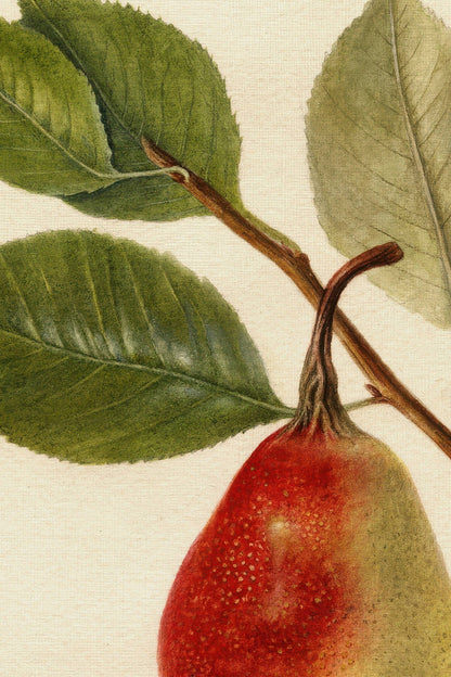 Nectar of the Season, Rigid Canvas, Vintage Bronze Frame
