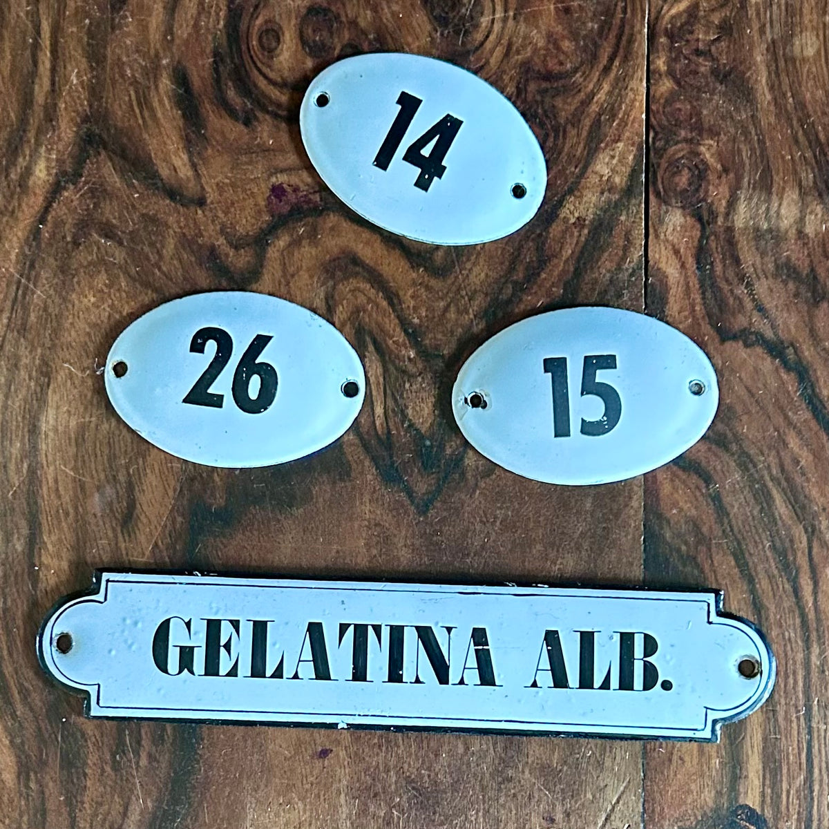 Antique French Apothecary Enamel Label – “Gelatina Alb.”