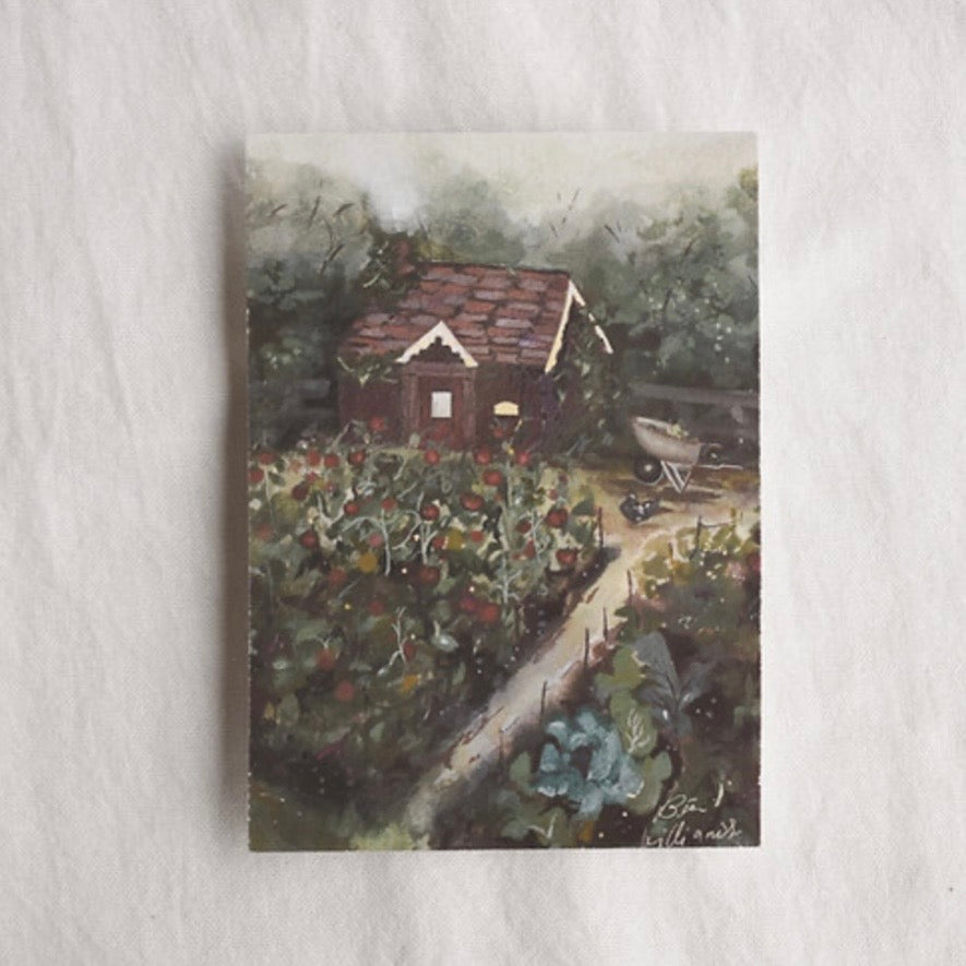 Le jardin de grand-mère. Grandmother’s Garden